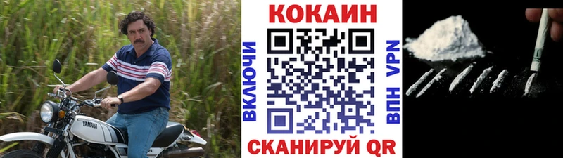 дарнет шоп  Елизово  мега зеркало  Кокаин Fish Scale 