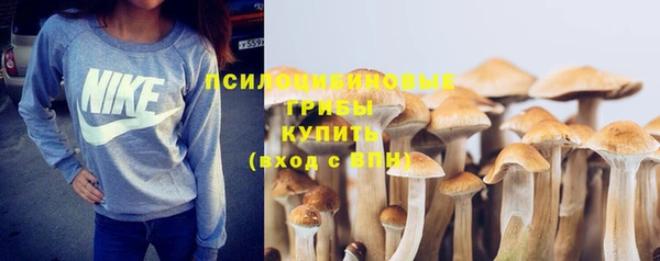 стафф Белокуриха