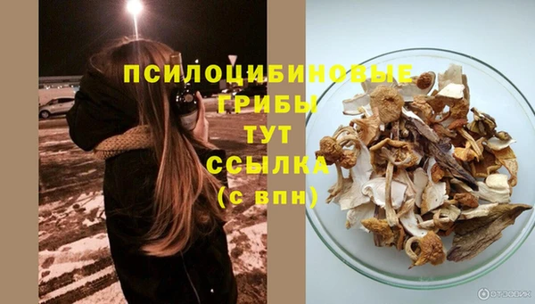стафф Белокуриха