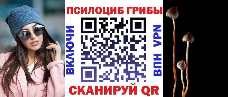 Псилоцибиновые грибы прущие грибы Елизово